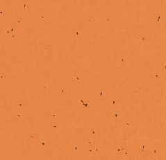 Линолеум Forbo Sphera Energetic 50227 safflower фото 1 | FLOORDEALER